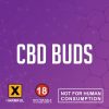 CBD Buds