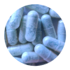 Blue Freezie MDMA Capsules