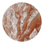 Pink Champagne Molly